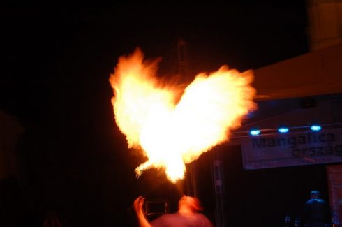 Debrecen, Mangalica Fesztivál, Tűzzsonglőr Műsor, 2016