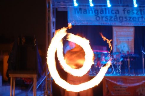 Debrecen, Mangalica Fesztivál, Tűzzsonglőr Műsor, 2016