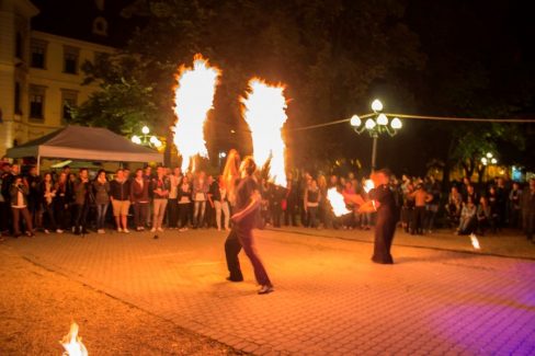 Eger, Drogprevenciós nap, Tűzzsonglőr Műsor 2014