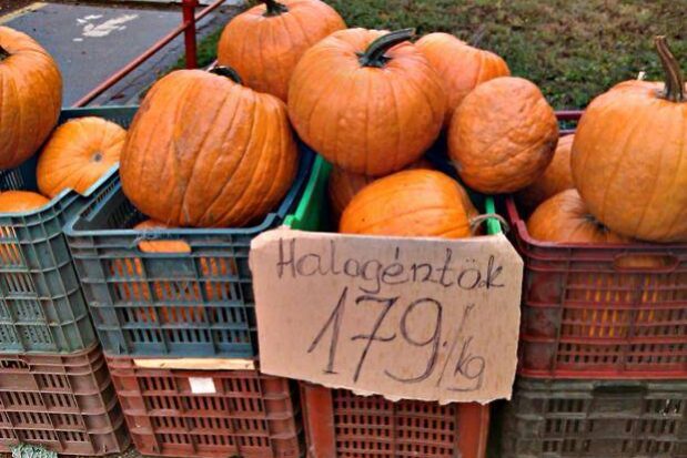 Halogén tök avagy a tökvicsori