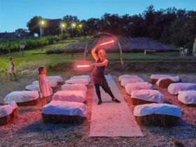 Pázmánd Bálint Borárium